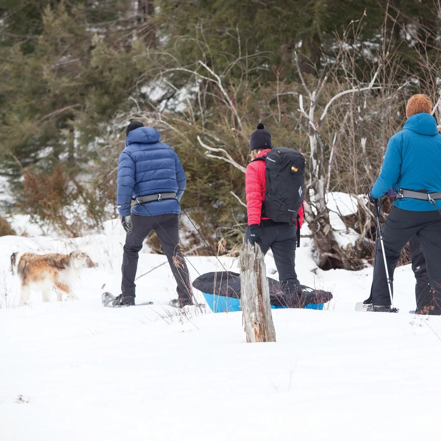 Pelican Sport Trek 52 Utility Sled 3 Pelican Sport Trek 52 Utility Sled - Image 3